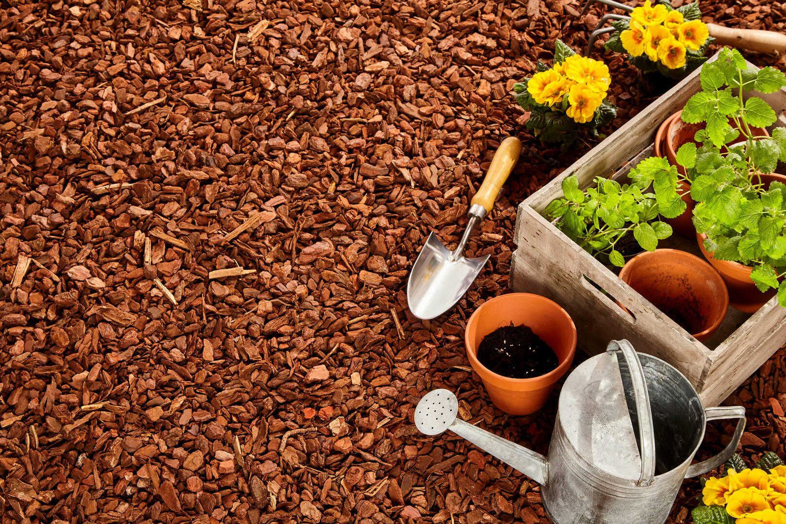 Quality Lawncare & Landscaping