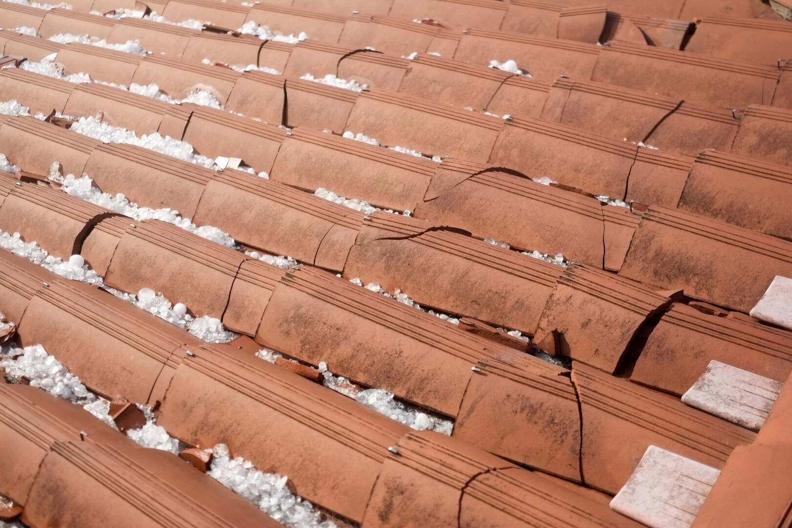 Nastase Roofing